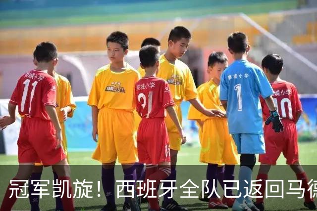 冠军凯旋！西班牙全队已返回马德里，队长罗德里机场高举大力神杯