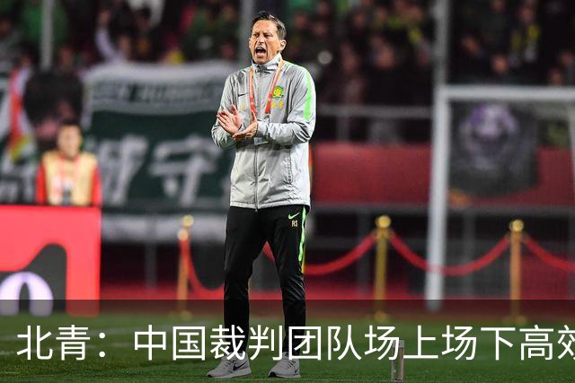 北青：中国裁判团队场上场下高效协作，配得上更多世界杯执法场次