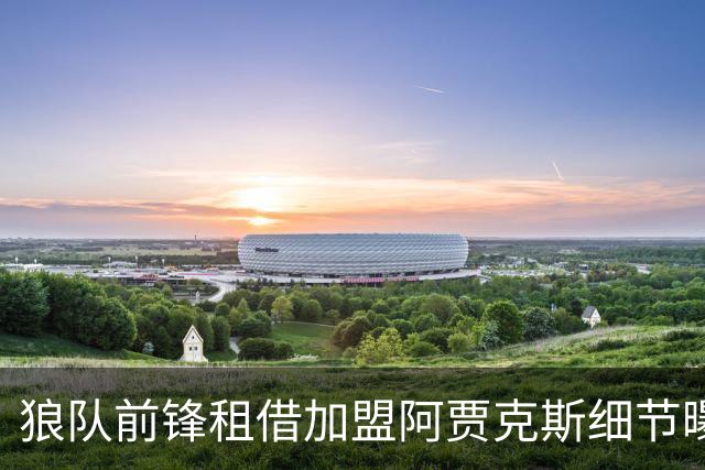 狼队前锋租借加盟阿贾克斯细节曝光：训练拒不离场后离队，荷甲豪门承担全额薪水