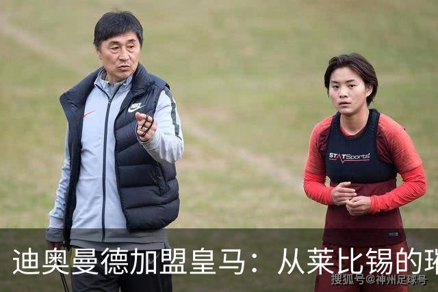 迪奥曼德加盟皇马：从莱比锡的璀璨之星到西甲新希望